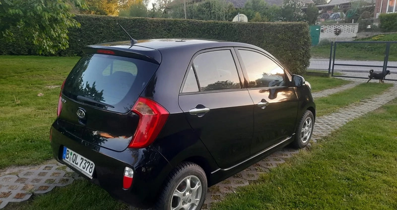 Kia Picanto cena 18800 przebieg: 125400, rok produkcji 2011 z Pińczów małe 172